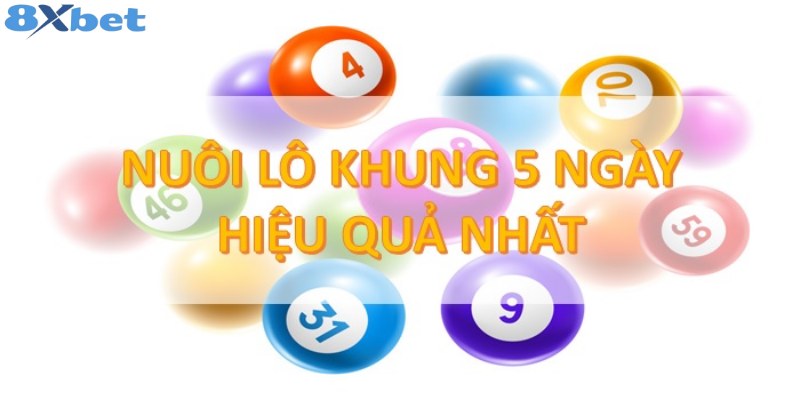 Chiến lược đầu và đuôi 